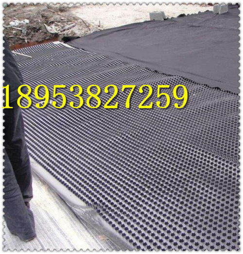 長春h25mm塑料排水卷材板現貨銷售昌都濾水板